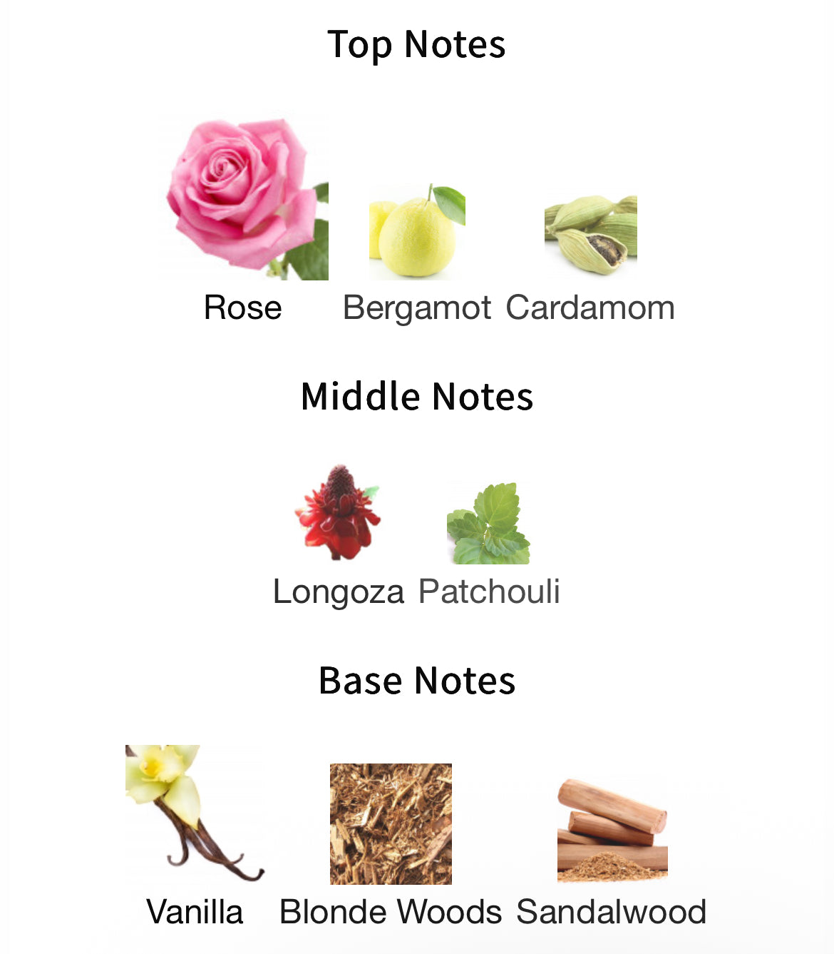 Mind Games Prodigy Extrait 100ml