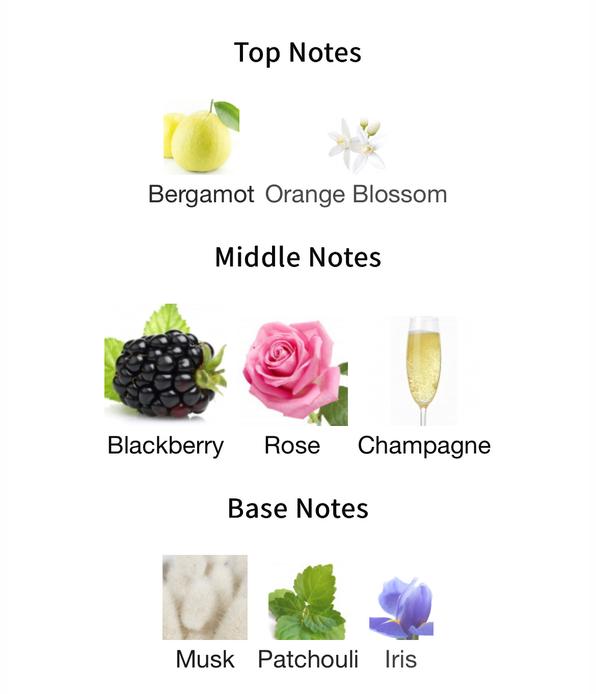 Atelier Des Ors Pink Me Up