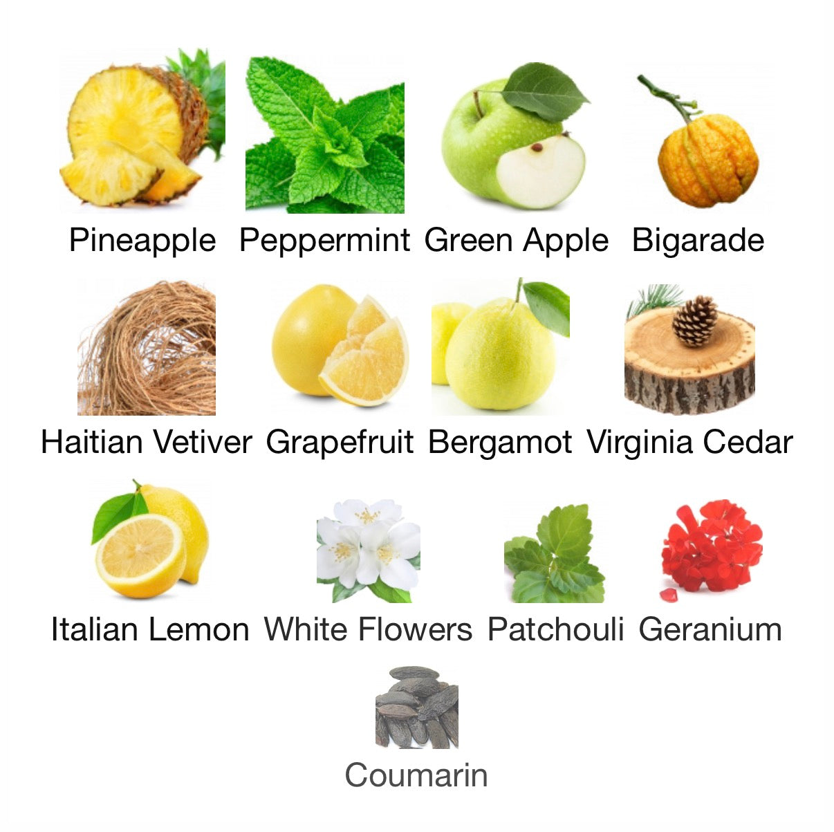 Sora Dora Gladiator EDP 100ml