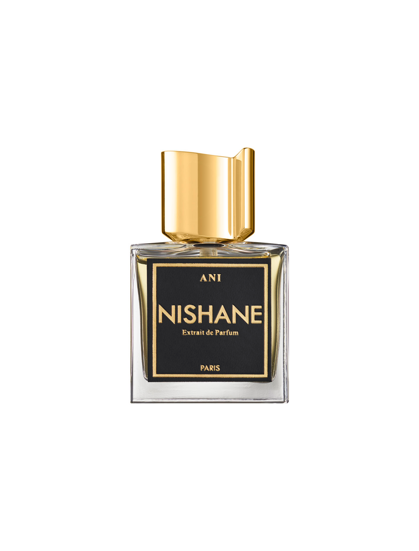 Nishane ANI Extrait 100ml