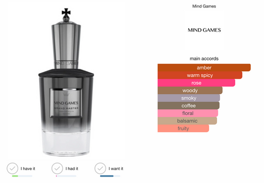 Mind Games Grand Master Extrait 100ml